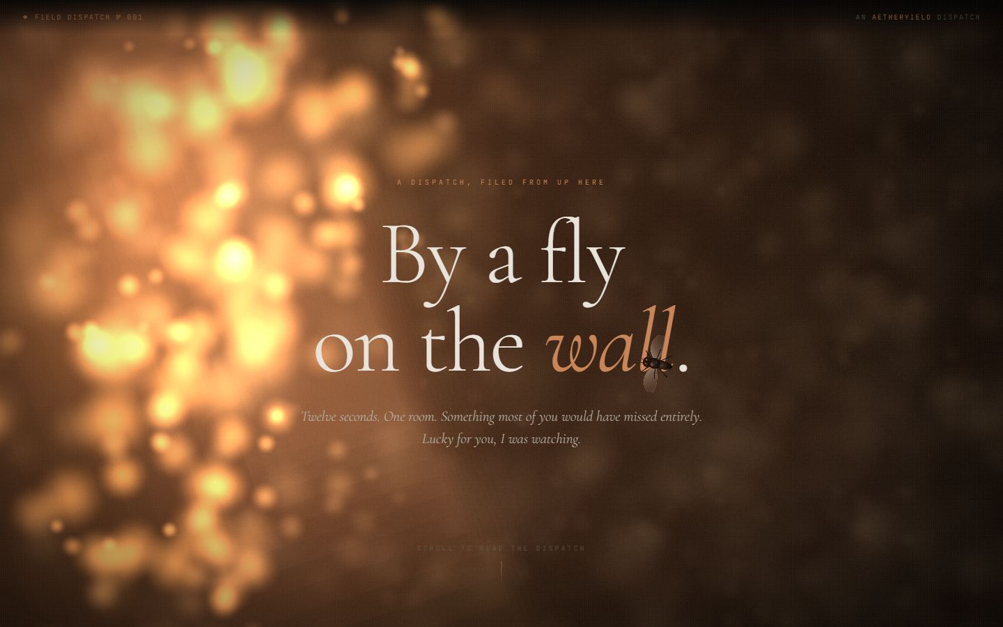 Fly on the Wall